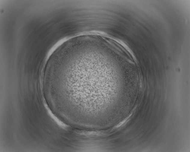 X0000083061054200702161752