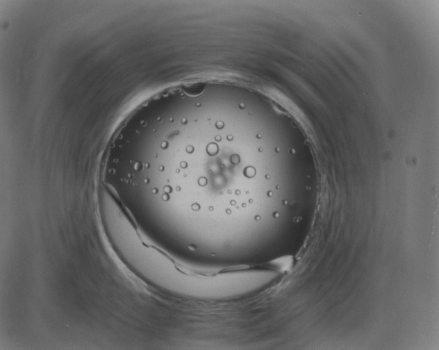 X0000083061055200702161752