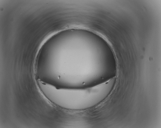 X0000083061056200702161752