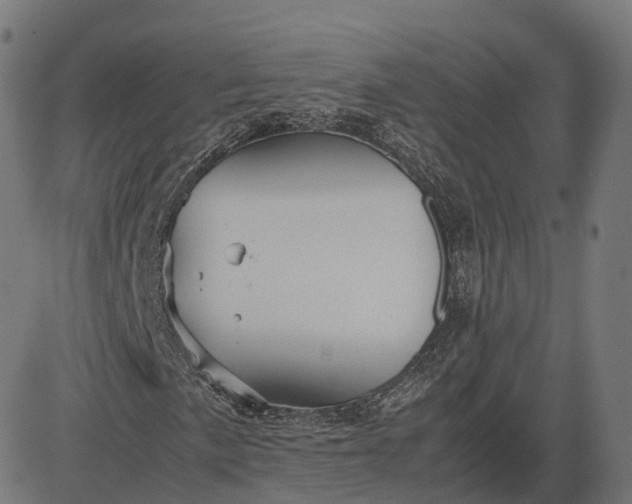 X0000083061057200702161751