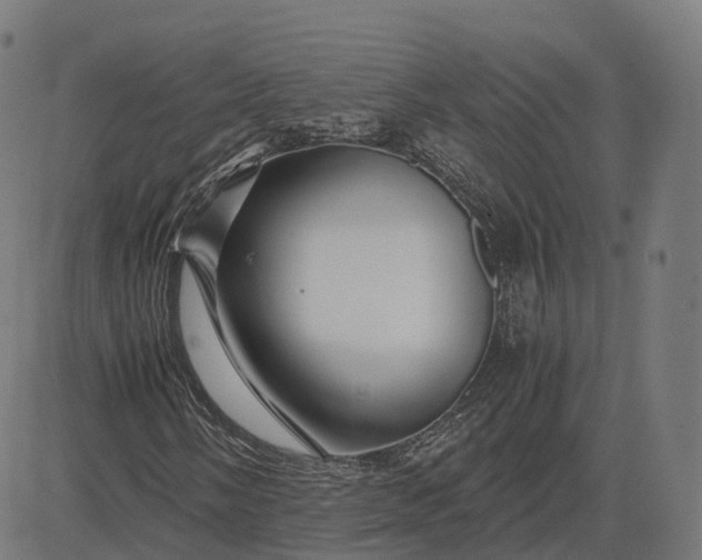 X0000083061058200702161751