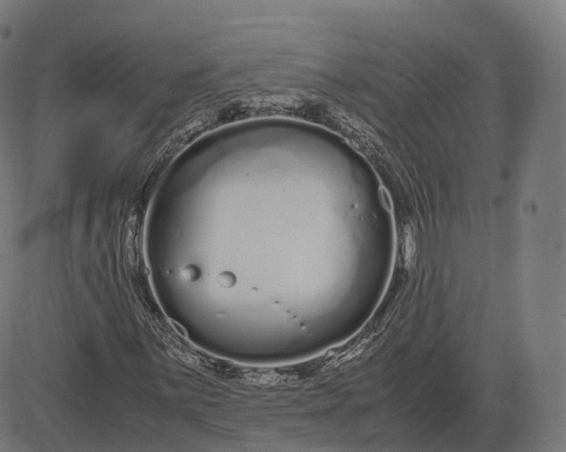 X0000083061059200702161751