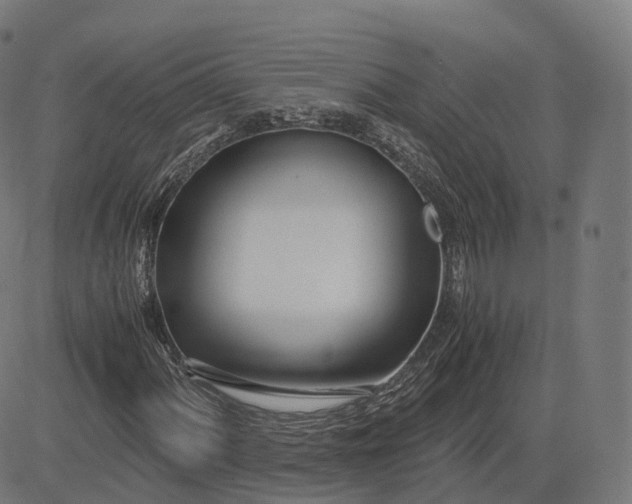 X0000083061060200702161751