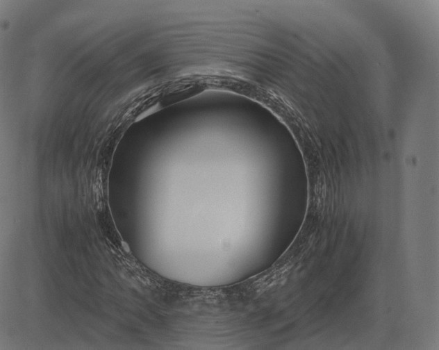 X0000083061062200702161751