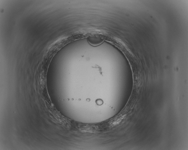 X0000083061063200702161751