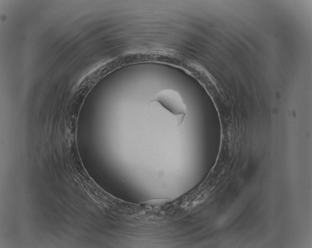 X0000083061064200702161751