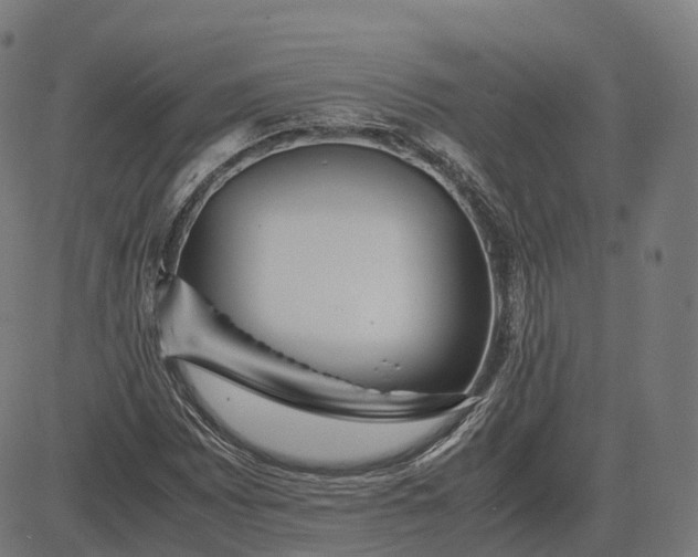 X0000083061065200702161751