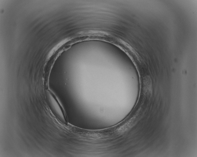 X0000083061066200702161751