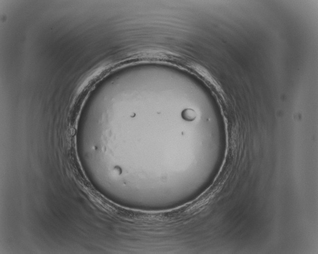 X0000083061067200702161751