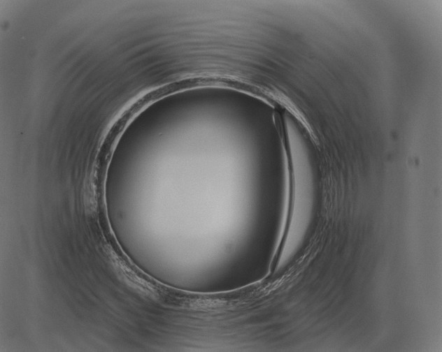 X0000083061068200702161751