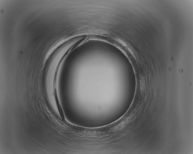 X0000083061069200702161751