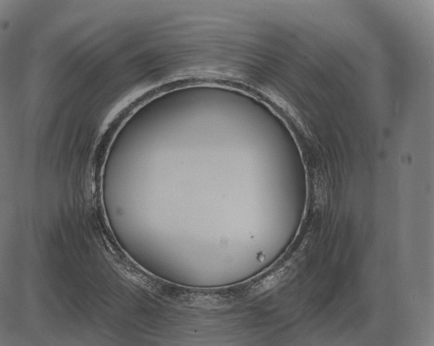 X0000083061070200702161751