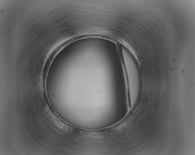 X0000083061072200702161751