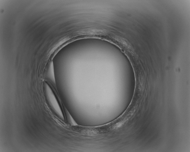 X0000083061073200702161751