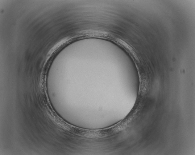 X0000083061074200702161751