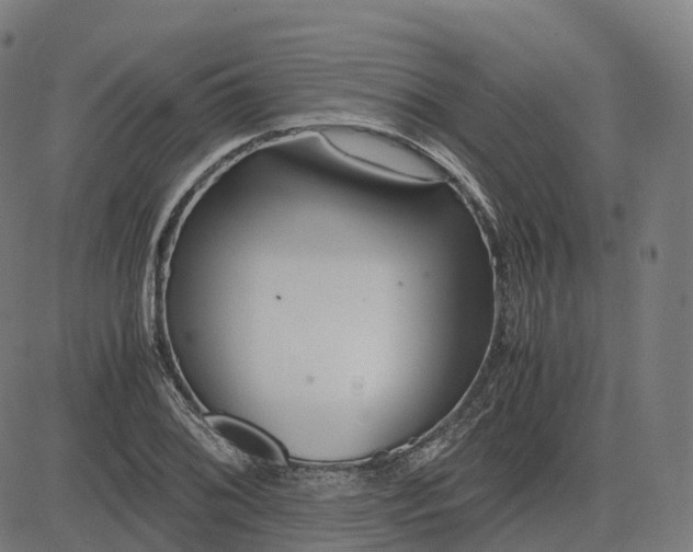 X0000083061076200702161751