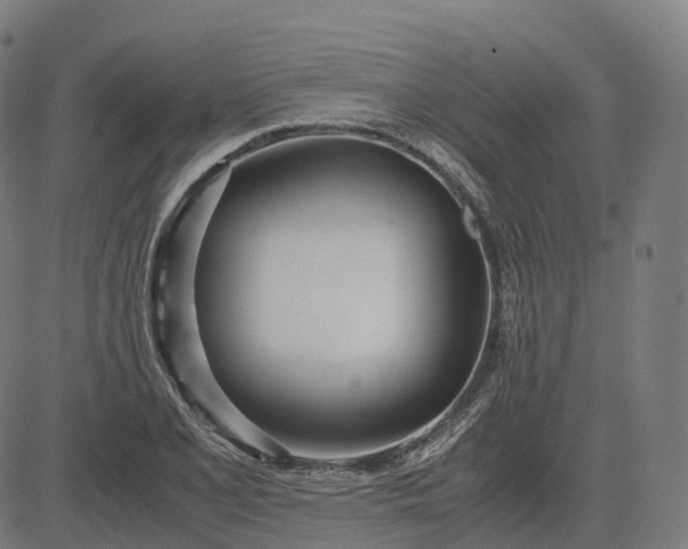 X0000083061077200702161751