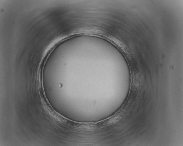 X0000083061078200702161750