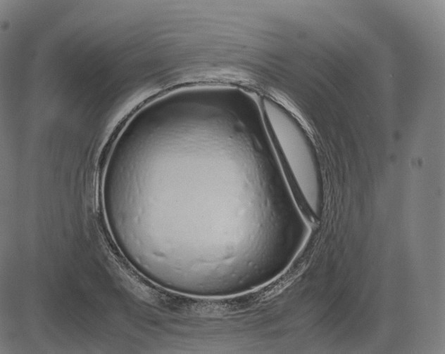 X0000083061079200702161750