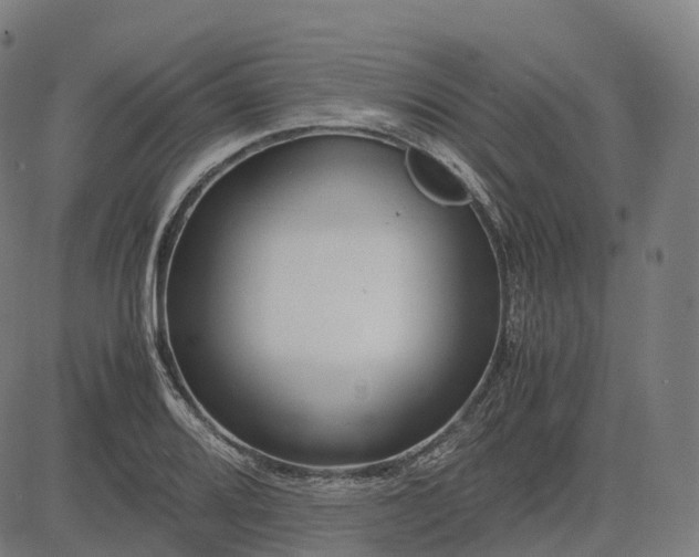 X0000083061080200702161750