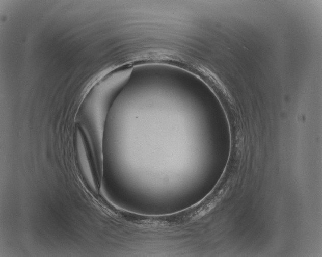 X0000083061081200702161750