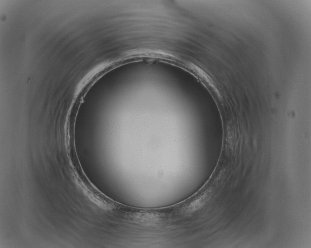 X0000083061082200702161750