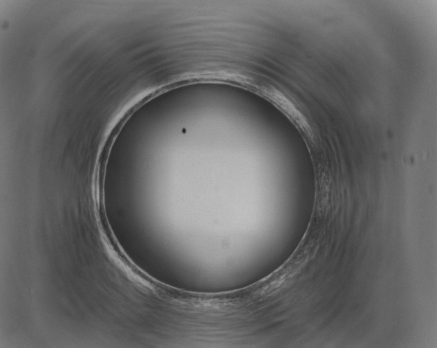 X0000083061084200702161750