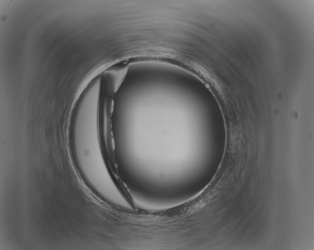 X0000083061085200702161750