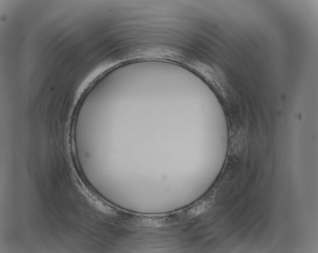 X0000083061086200702161750