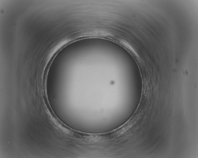 X0000083061087200702161750