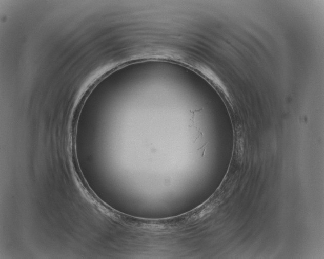 X0000083061088200702161750