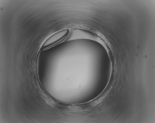 X0000083061089200702161750