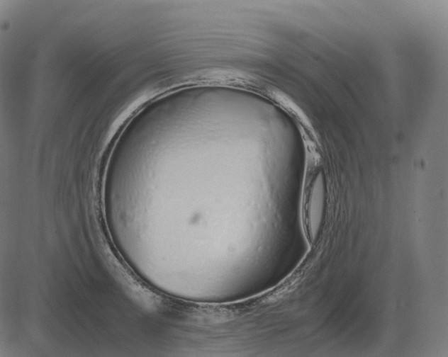 X0000083061091200702161750