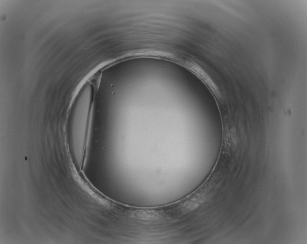 X0000083061092200702161750