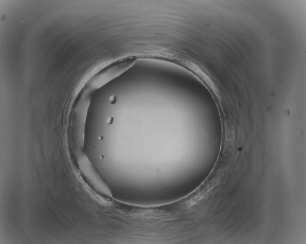 X0000083061093200702161750