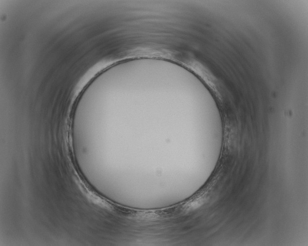 X0000083061094200702161750