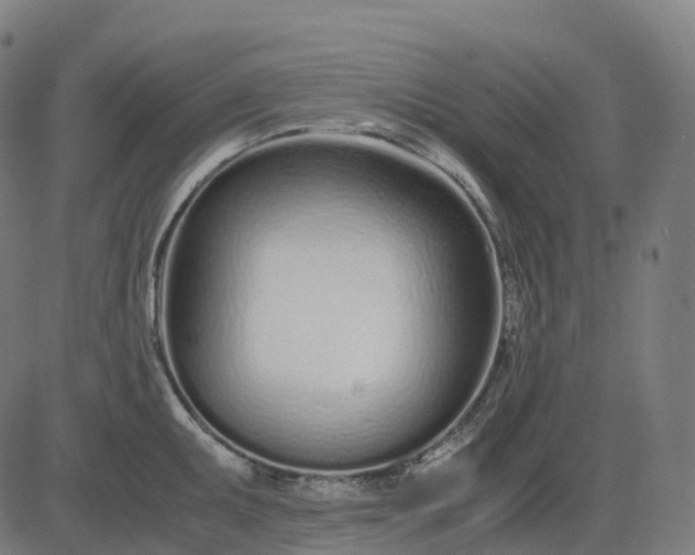 X0000083061095200702161750