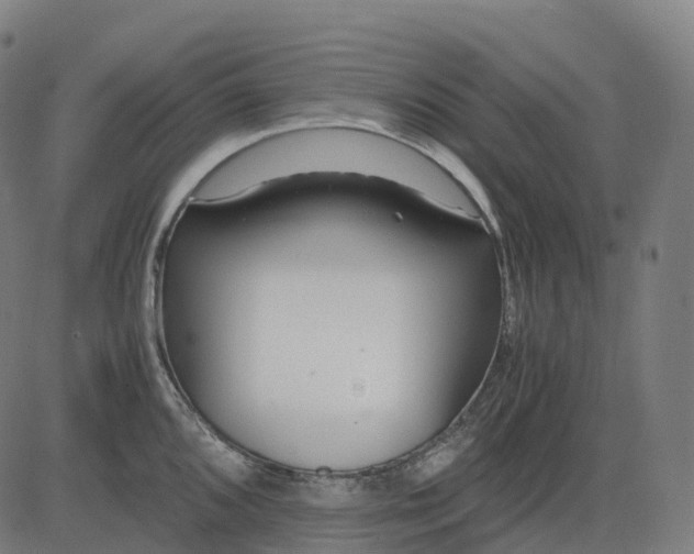 X0000083061096200702161750