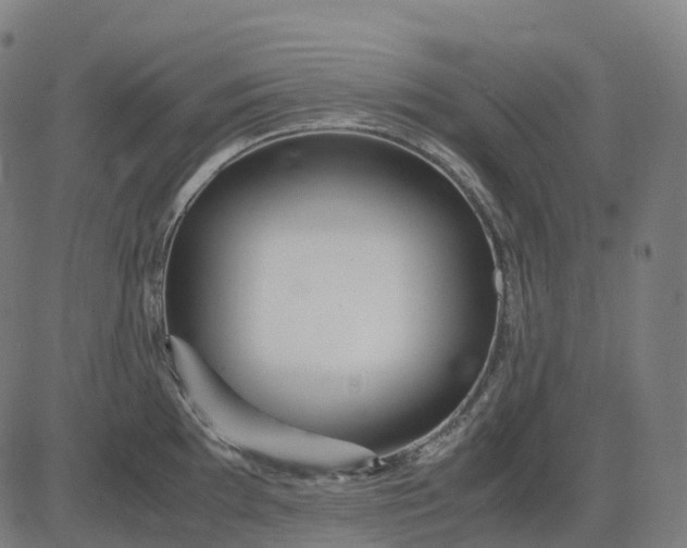 X0000083061097200702161750