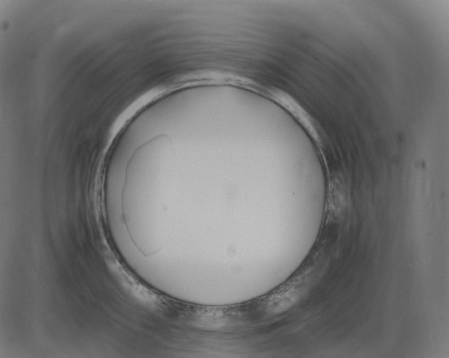 X0000083061098200702161750