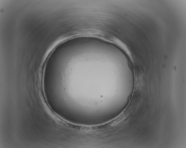 X0000083061099200702161750