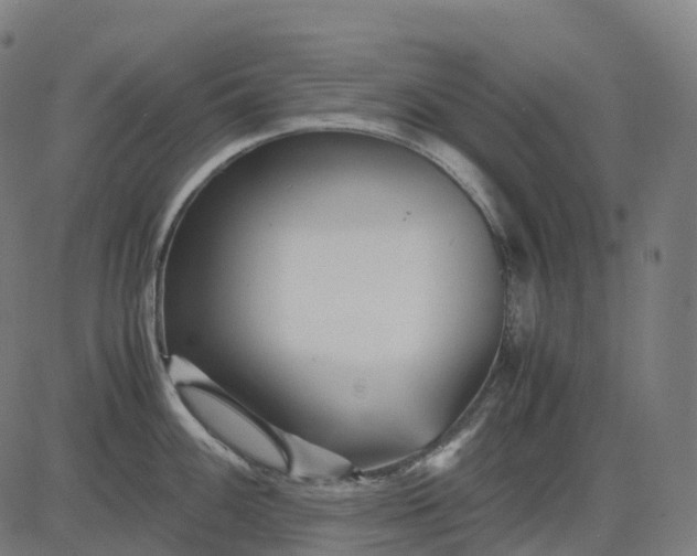 X0000083061100200702161750