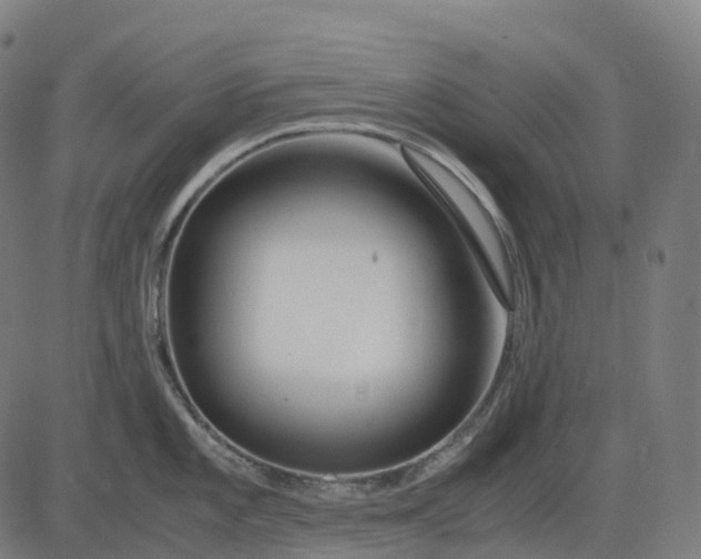 X0000083061101200702161750