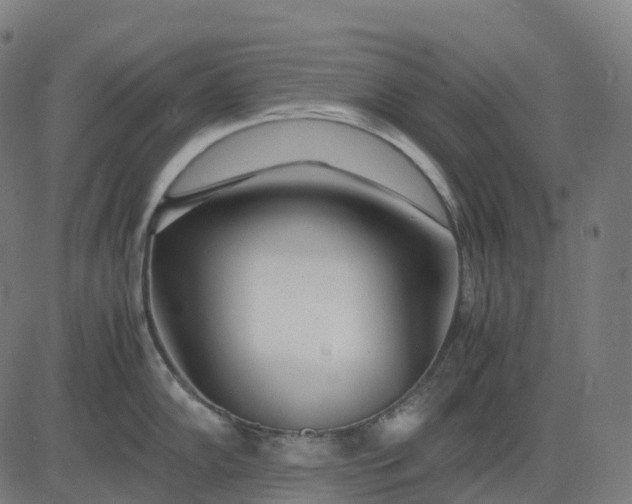 X0000083061102200702161750