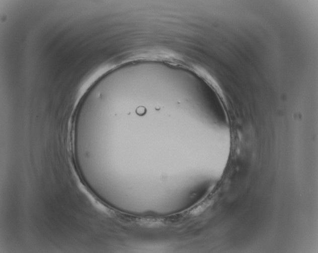 X0000083061103200702161750