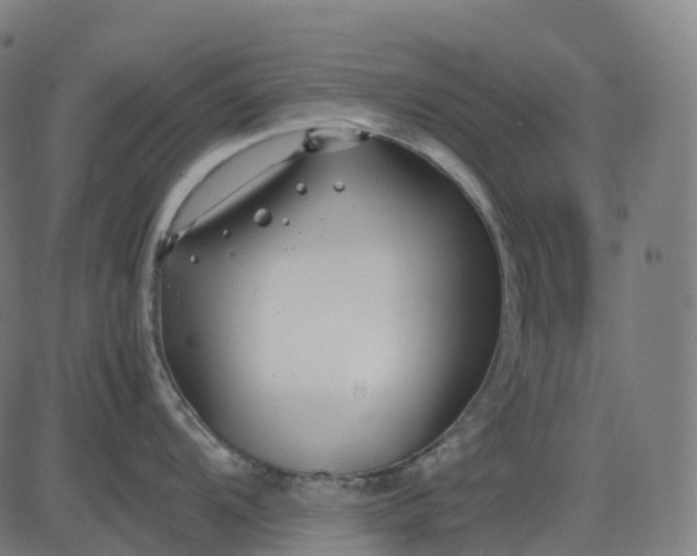 X0000083061104200702161750