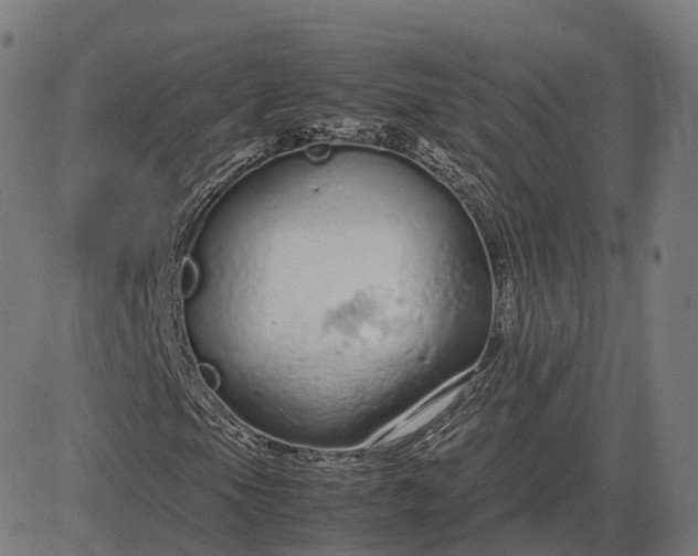 X0000083061105200702161749