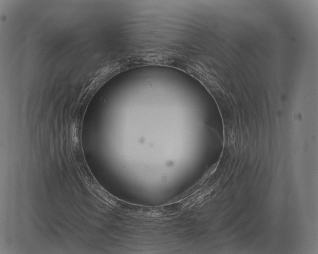 X0000083061106200702161749