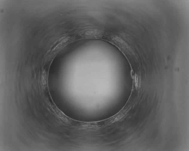 X0000083061107200702161749