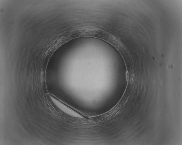 X0000083061108200702161749